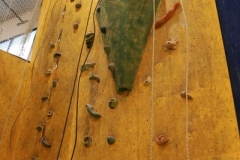 32