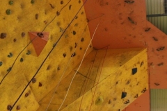 47
