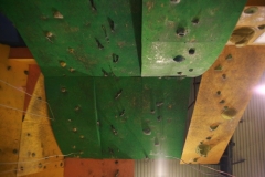 49