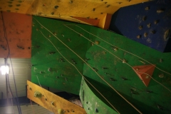 54